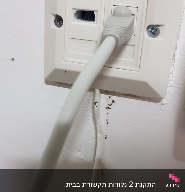 שקע רשת עם כבל מחובר לקיר
